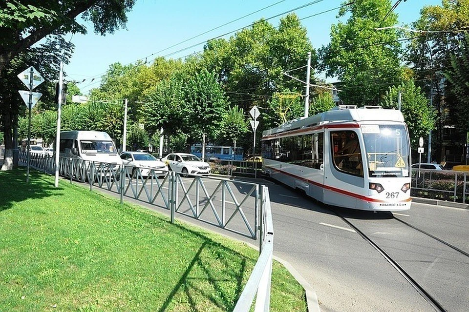 Фото: администрация Краснодара