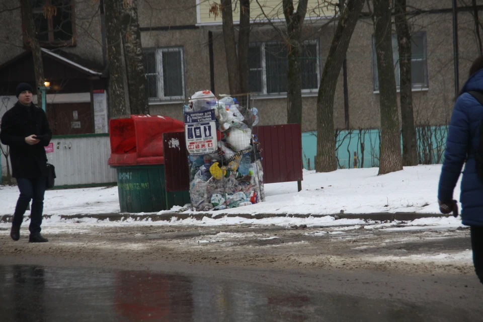 Жители дома 51А на улице Балакирева привыкли к раздельному сбору мусора