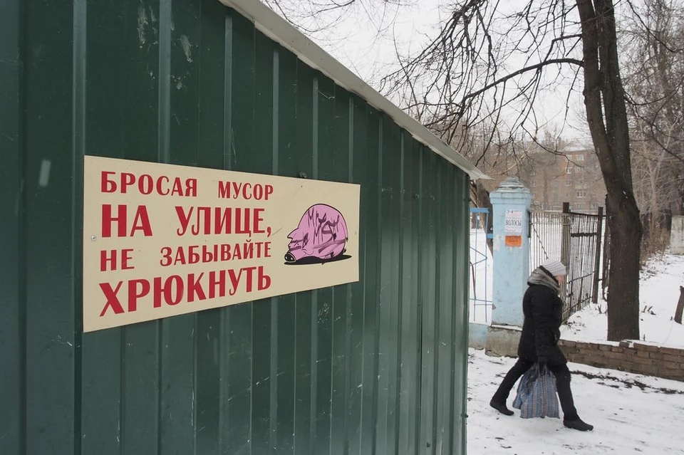 Фото: Алексей ФОКИН