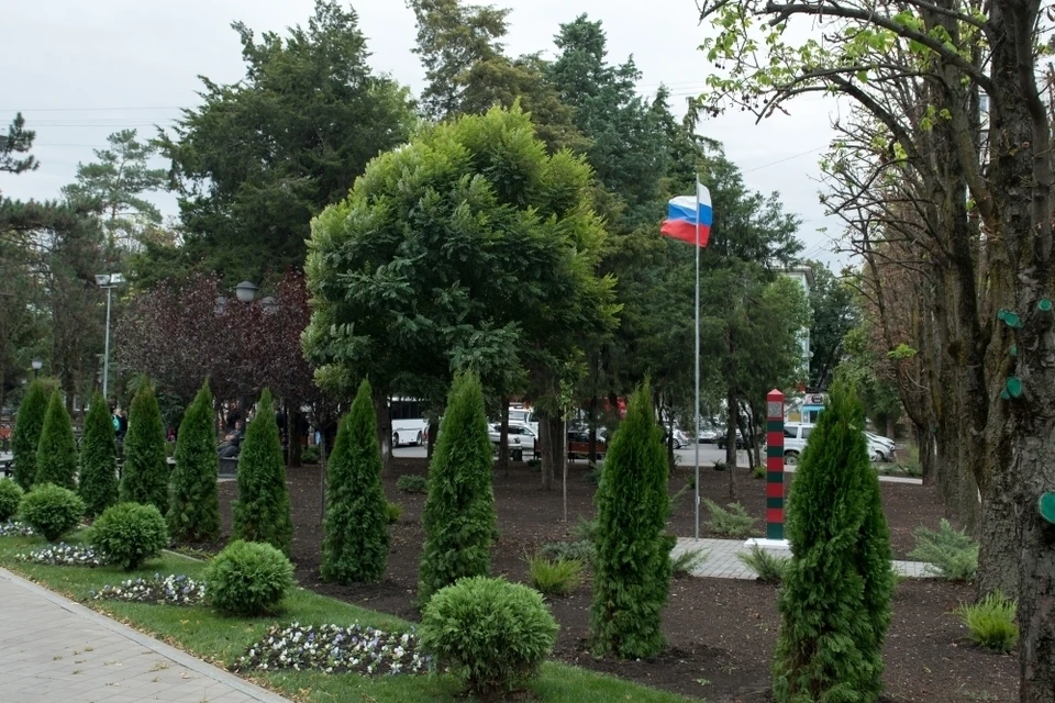 Фото: мэрия Краснодара