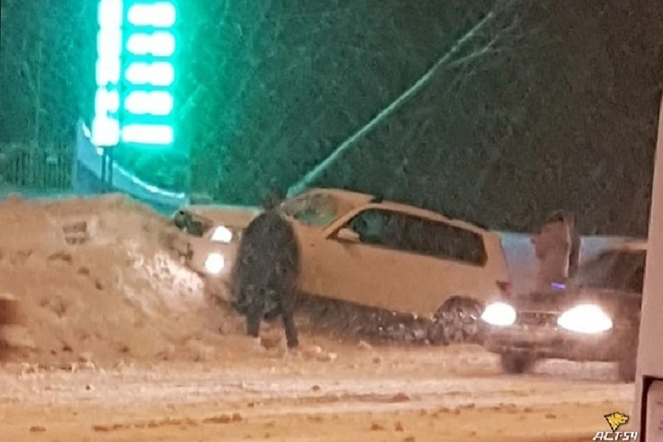 Снег оказался даже к месту.