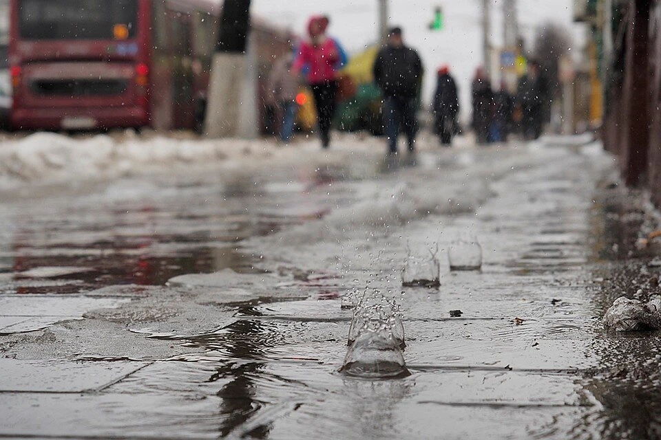 В Краснодарском крае в конце января пройдут дожди