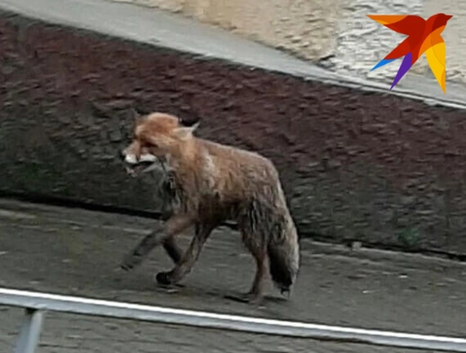 Фото: ВКонтакте.