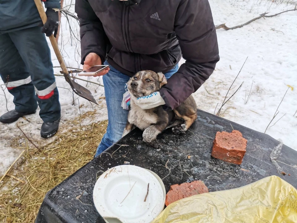 Фото Саратовской городской службы спасения
