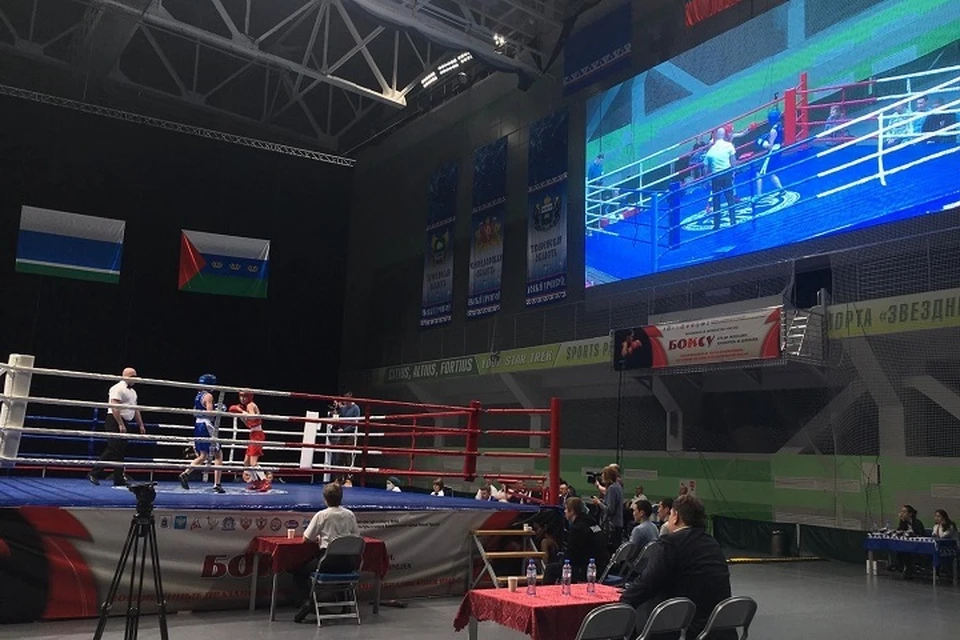 Ямальские спортсменки взяли «золото» на чемпионате по боксу Фото: администрация Нового Уренгоя
