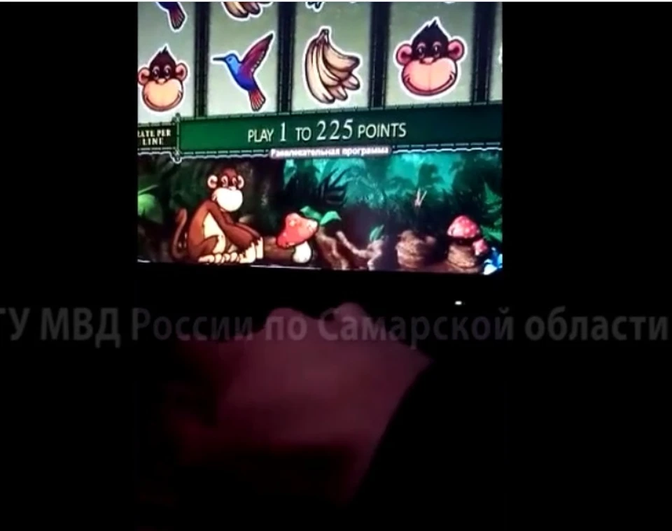 В игорном клубе посетителям предлагали сыграть с "макакой"