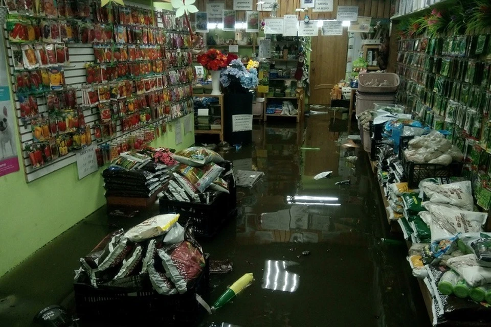 В Петербурге дождь затопил торговый центр и цветочный магазин. Фото: vk.com/spb_today
