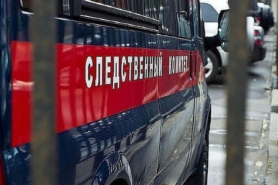 По итогам проверки будет принято решение о возбуждении или не возбуждении уголовного дела по данному факту.
