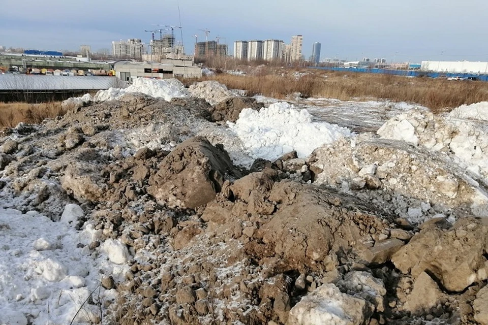 Фото: eco.tatarstan.ru