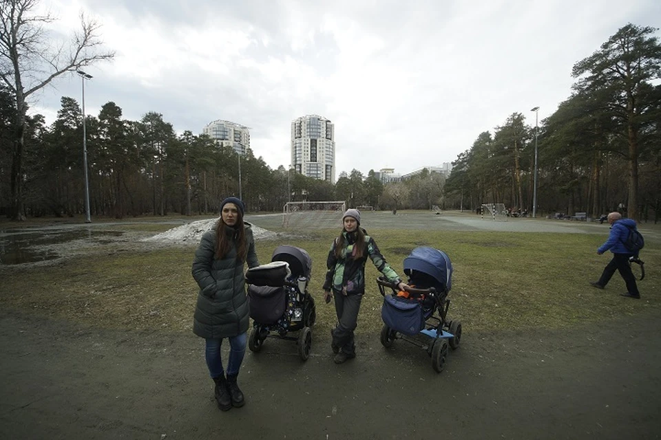 В парке полгода будут кипеть строительные работы