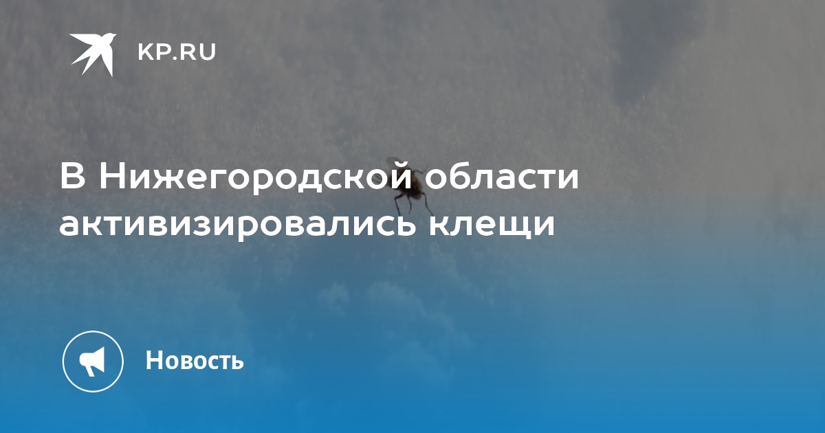 Клещи в нижегородской области фото и описание