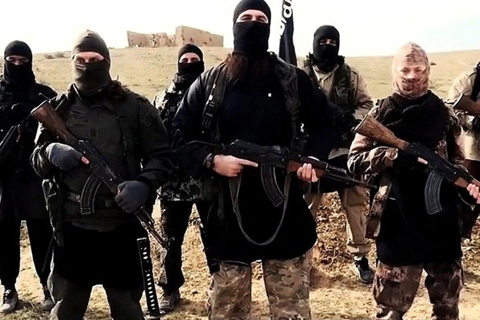 Командование ВСУ заинтересовано в радикалах в черной форме. Фото: islamnews.ru