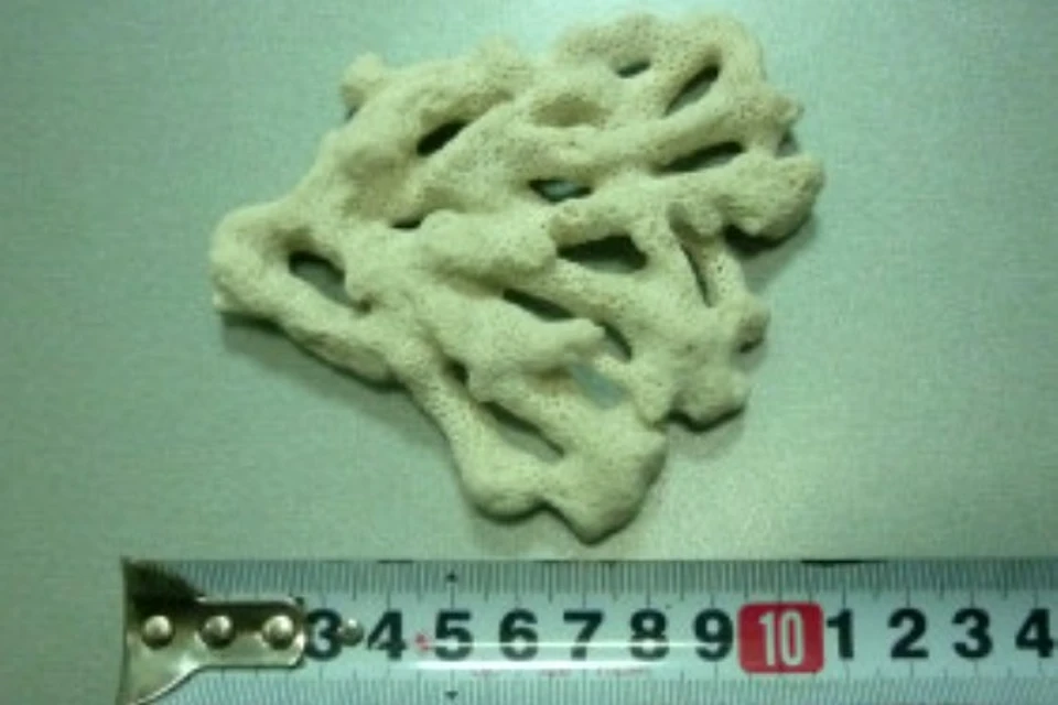 кораллы тайланд. сувениры ракушки тайланд. морские раковины доминиканы. кораллы на берегу. кораллы тайланд.