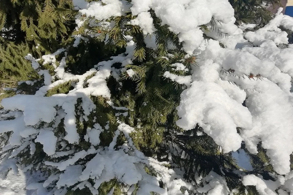 Погода в Югре 18 марта: небольшой снег, изморозь и гололед. Фото: Савинов Руслан.