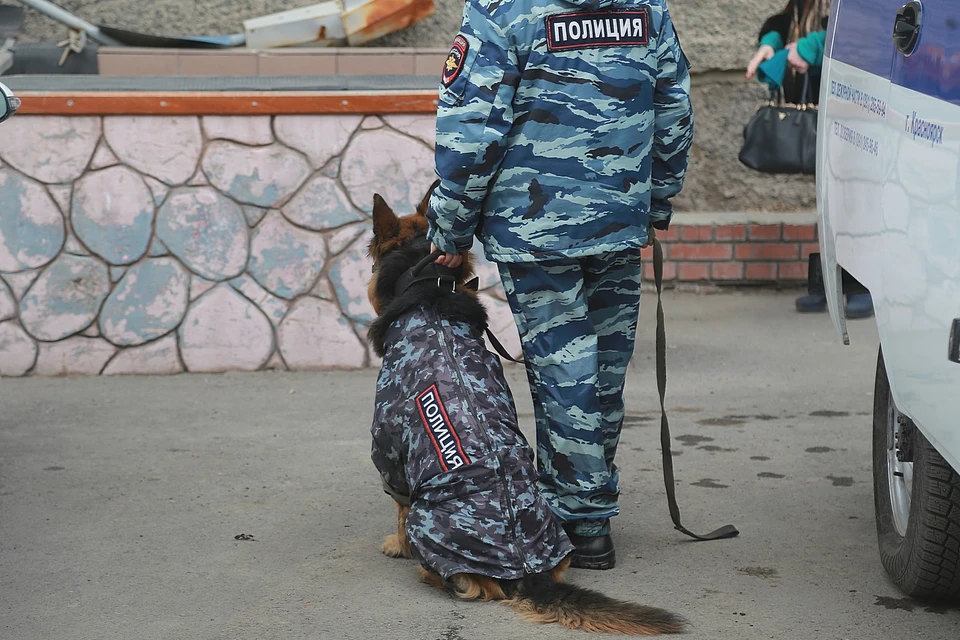 Полиция и ФСБ задержали банду инспекторов-взяточников в Красноярском крае.