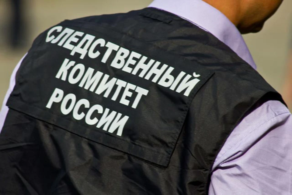 Смолянин жестоко избил бывшую жену из-за дочери. Фото: Следственный комитет России.