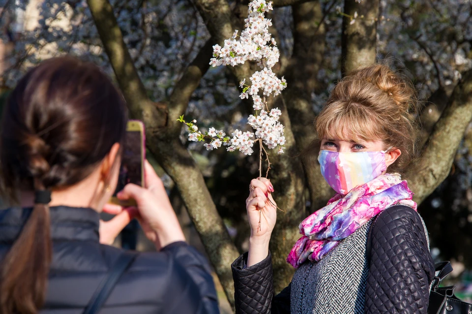 Крымчане надевают маски и проводят фотосессии с цветущими деревьями