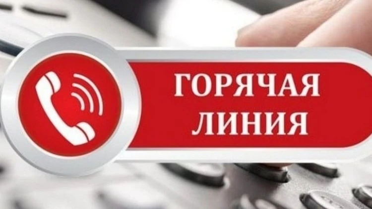 Психологи Владивостока готовы бесплатно оказать поддержку во время самоизоляции
