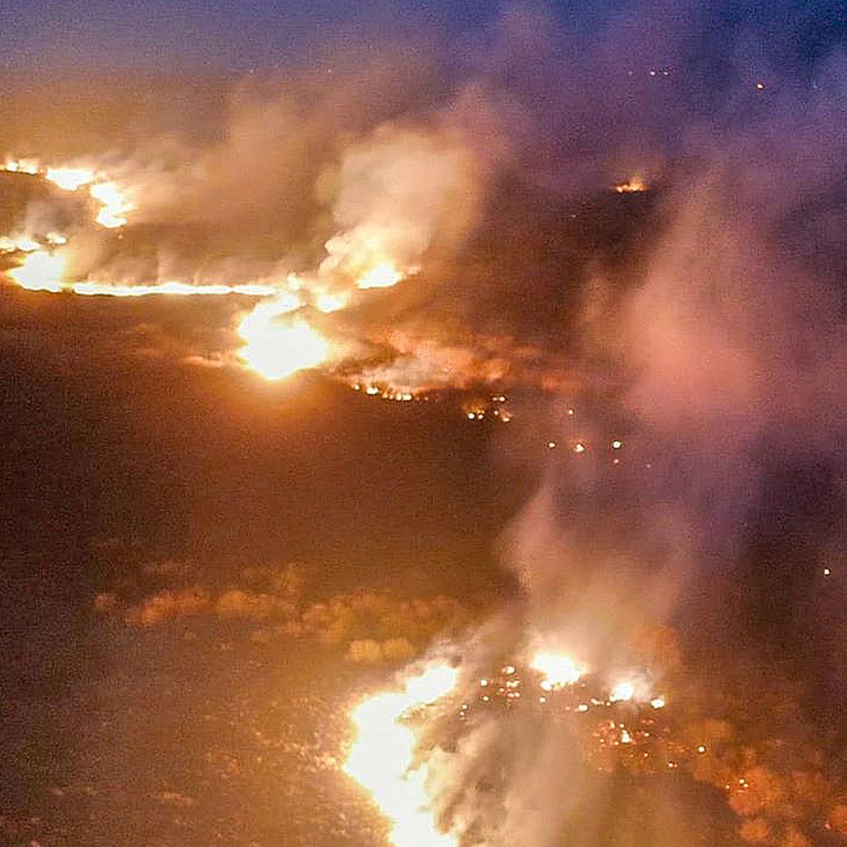 Этот огромный пожар в Беларуси вырос из пала травы! МЧС предупреждает, что  сгореть могут и те, кто поджег - KP.RU