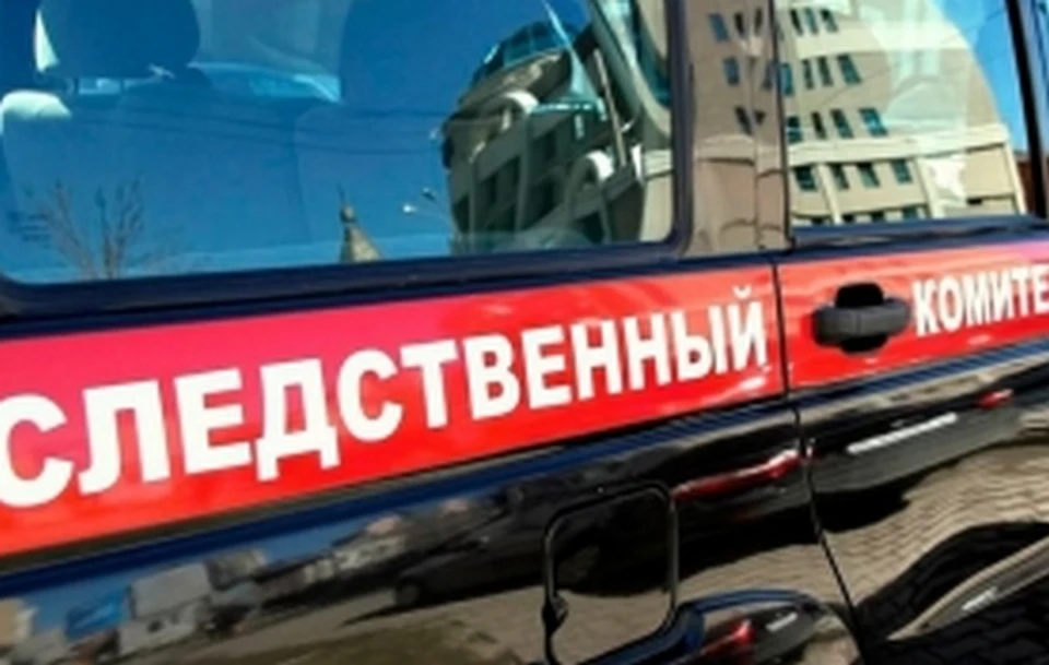 По данному факту следственный комитет проводит доследственную проверку