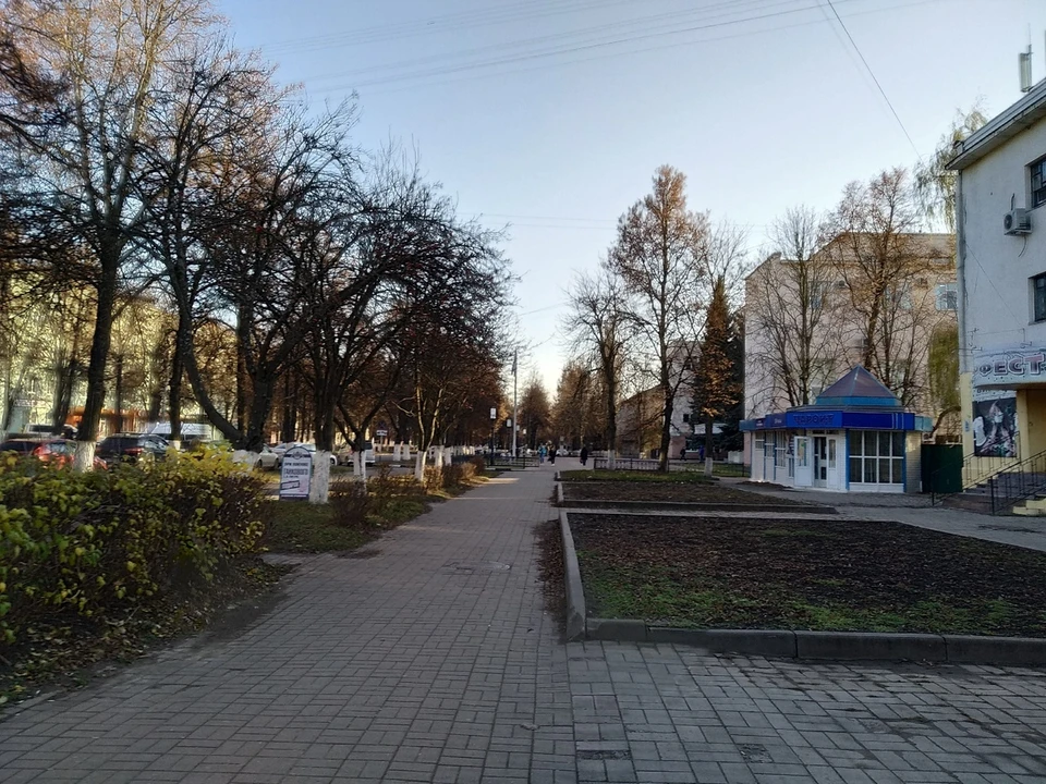 В Железногорске посты будут стоять на улицах Никитина, Мира, Ленина и автодороге №7