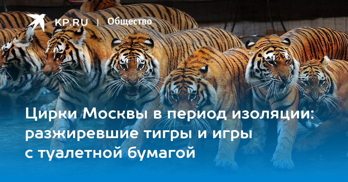 Украшение Тигры 8 см, стекло, цвет оранжевый ЛЬДИНКА - купить в интернет-магазине Бумага-С