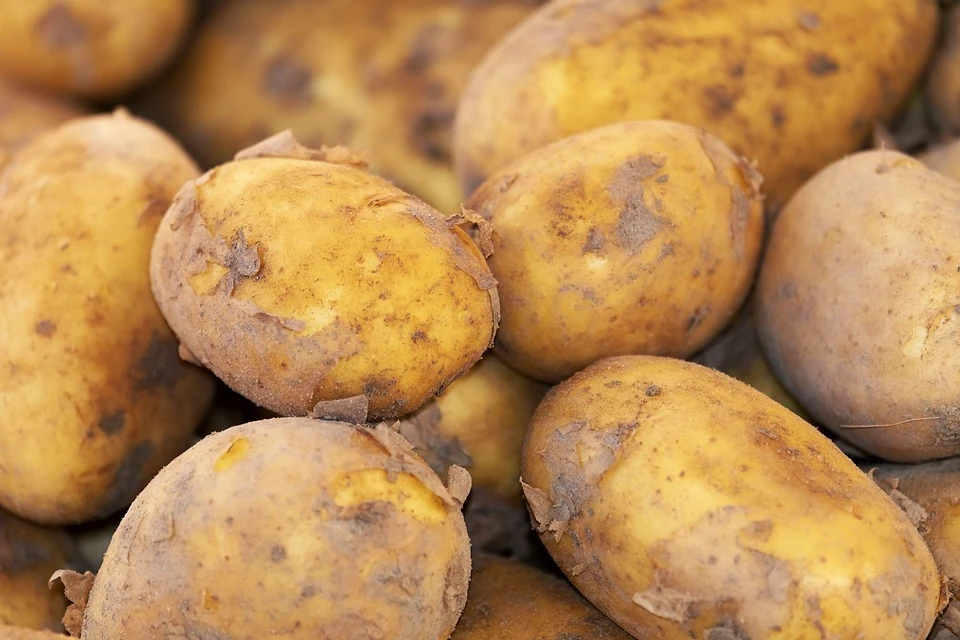 Почти 400 тонн тюменского картофеля отправили в Казахстан и Узбекистан. Фото - pixabay.com.