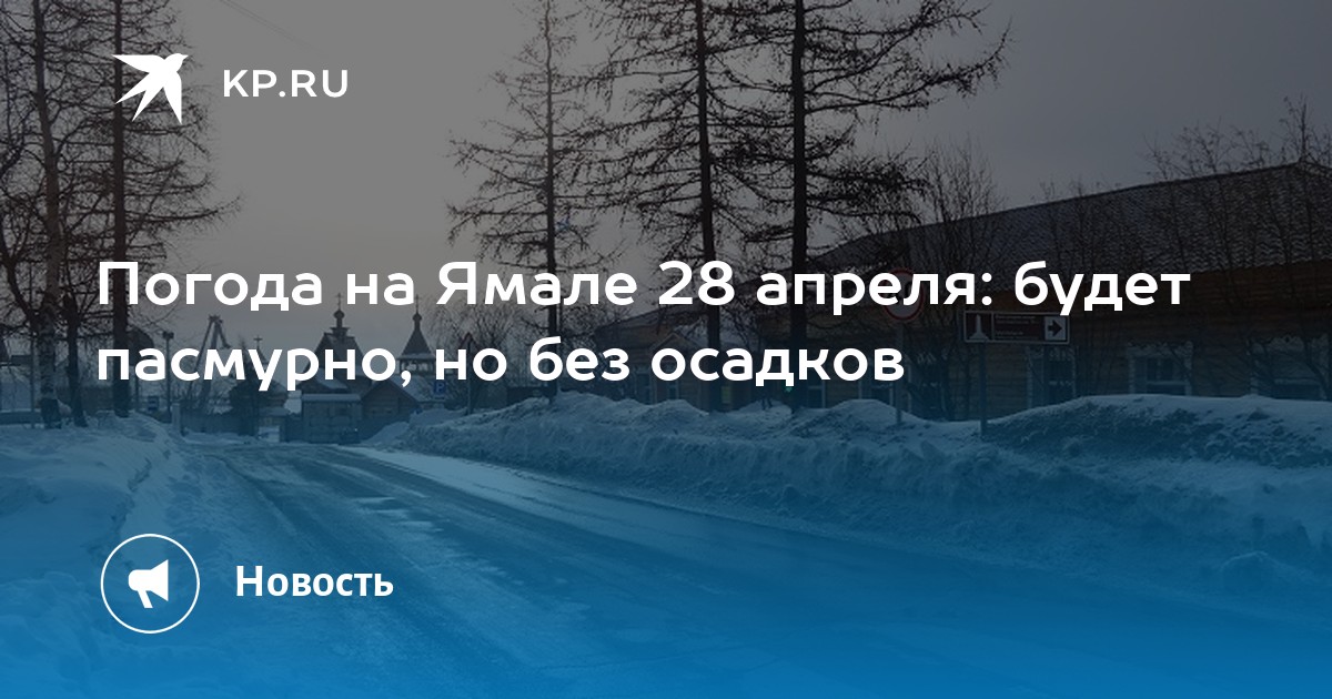 Комсомольская правда Кемерово и Новокузнецка. Замерзли из дерева. Берегитесь обледеневшие деревья безопасность.