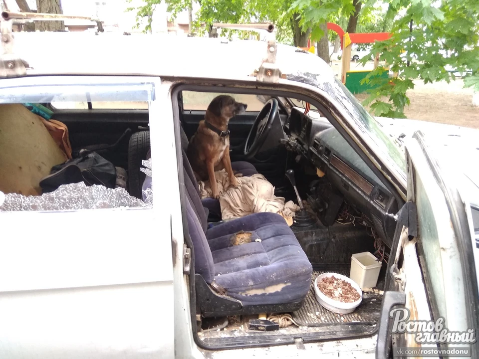 Чтобы пес смог дышать, кто-то разбил стекло в авто. Фото: группа Вконтакте "Ростов-Главный".