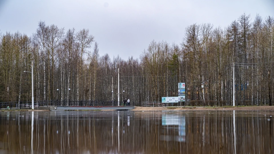 Фото пресс-службы ухтинской администрации