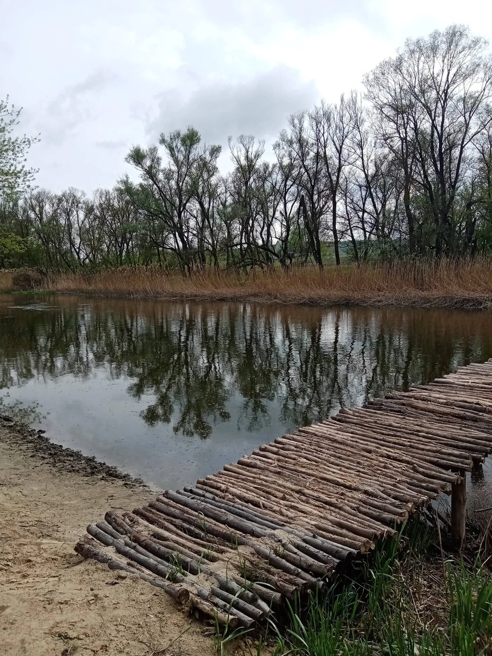 В Староивановке Белгородской области оборудуют новый пляж. Фото пресс-службы администрации Волоконовского района