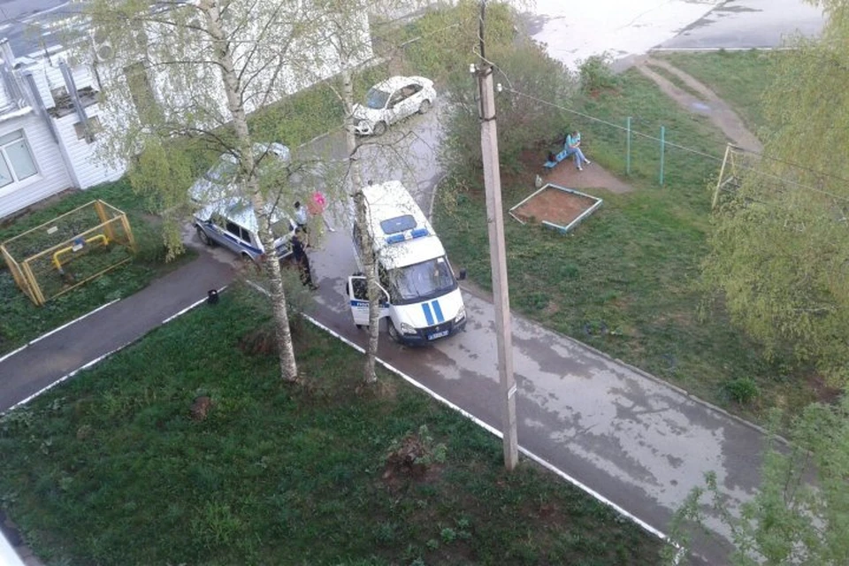 Кадры с места происшествия сняли и опубликовали в соцсетях соседи. Фото: группа ВКонтакте "Подслушано Добрянка".