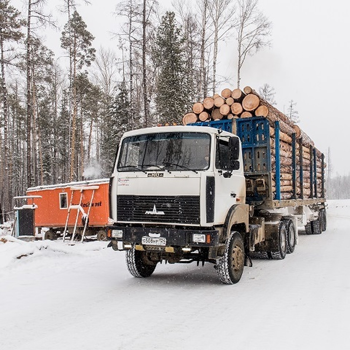 В Хабаровском крае большегрузы возьмут под круглосуточный контроль - KP.RU