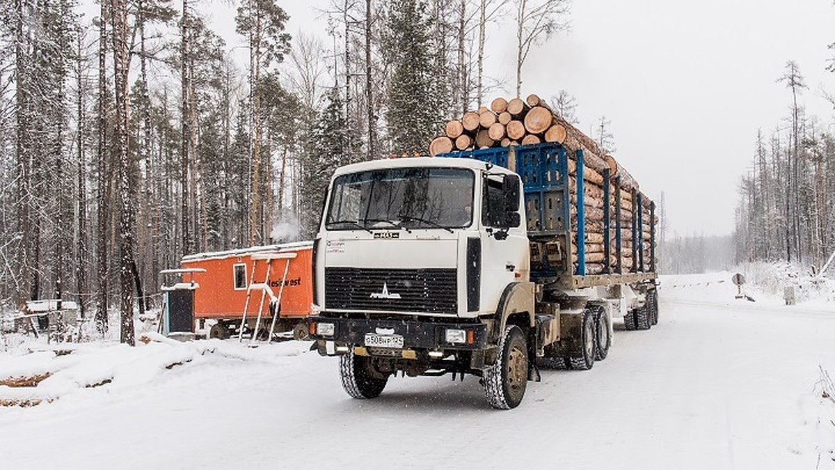 В Хабаровском крае большегрузы возьмут под круглосуточный контроль - KP.RU