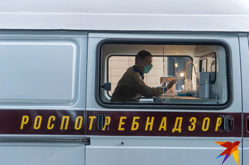 Коронавирус в Рязани и области, 17 мая 08.30: под наблюдением находятся 2647 человек.