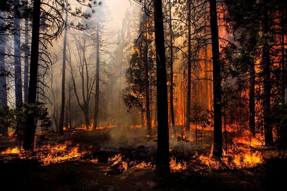 Фото: yandex.ru