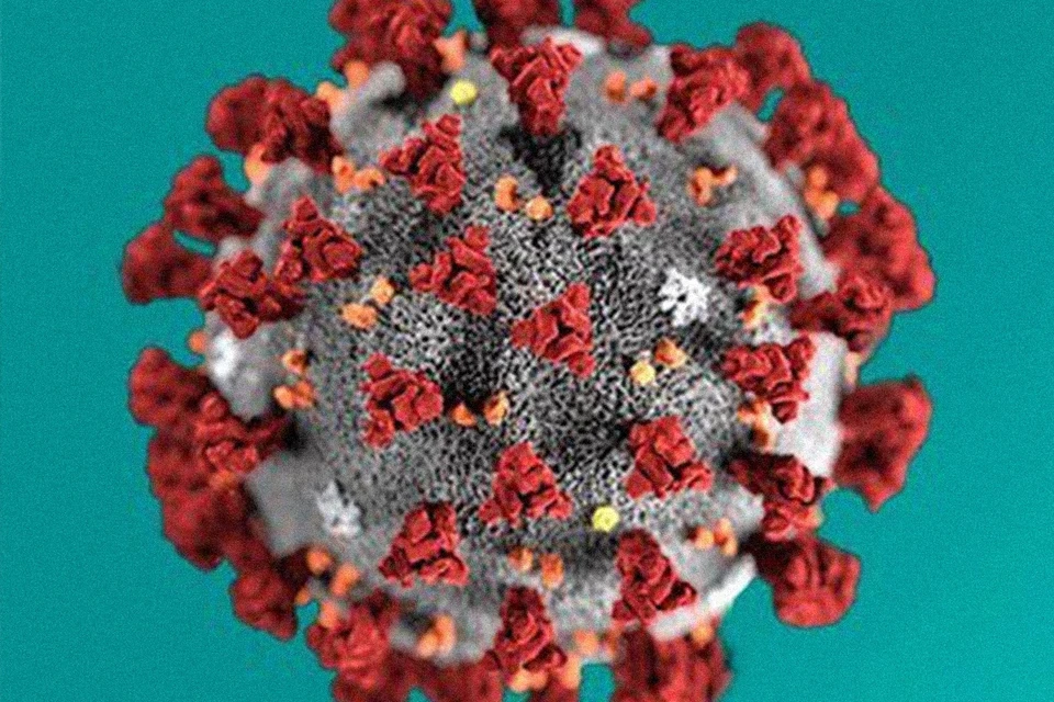 Рекордный суточный прирост зараженных коронавирусом зафиксирован в Псковской области за минувшие сутки при вдвое меньшем, чем обычно, количестве тестов, сделанных за тот же день.