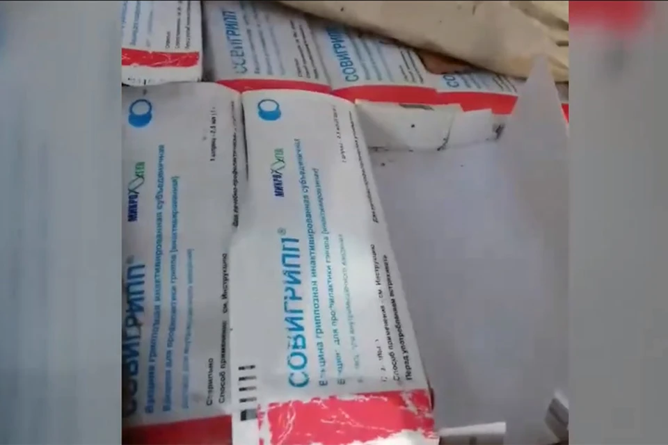 Сотрудница одной из больниц Дзержинска призналась, что выбросила вакцину от гриппа в лесу. ФОТО: принтскрин видео группы "Типичный Нижний Новгород"