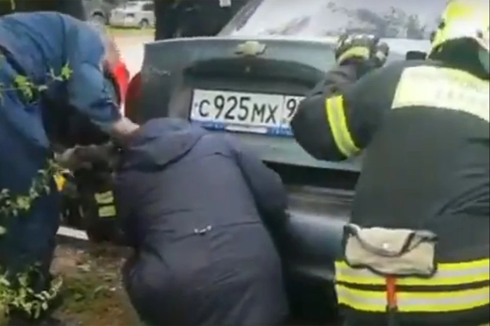Спасатели освободили собаку из багажника автомобиля.