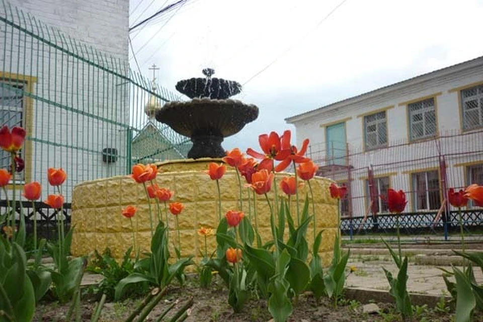 В жилой зоне ИК-10 Калининского района на клумбах вокруг фонтана высадили тюльпаны Фото: УФСИН России по Тверской области