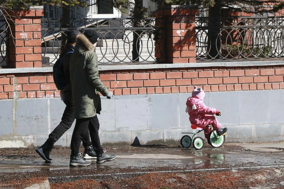 Более 190 тысяч заявлений на выплату подали семьи с детьми в Алтайском крае