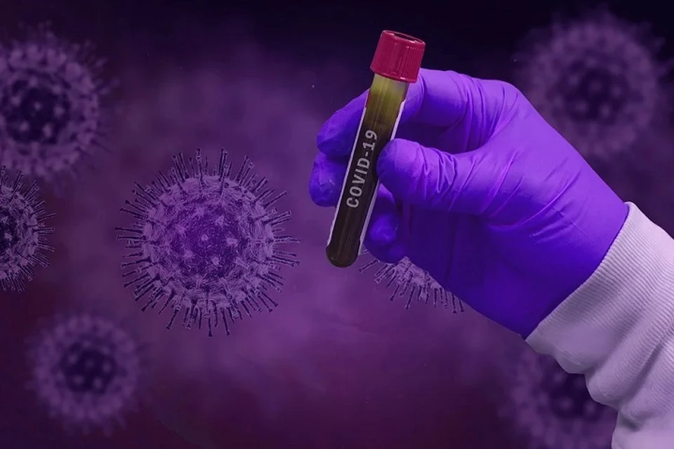 Число умерших людей с коронавирусом в ЯНАО достигло семи человек Фото: pixabay.com