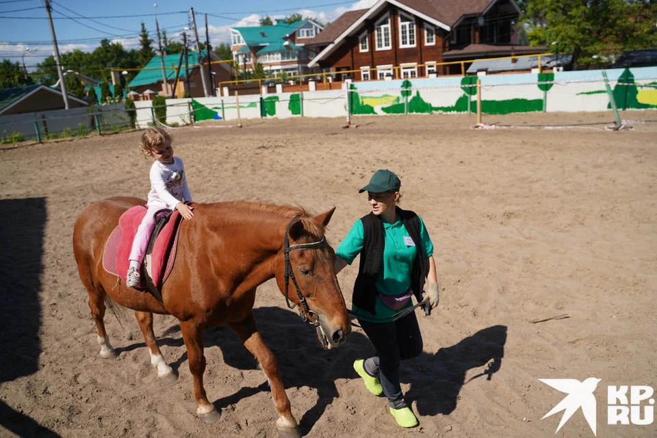 Лошади улучшают осанку, координацию движение и настроение