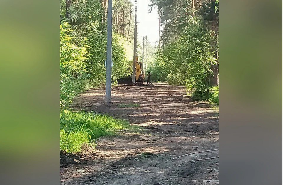 В бору замечена техника. Фото: социальные сети.
