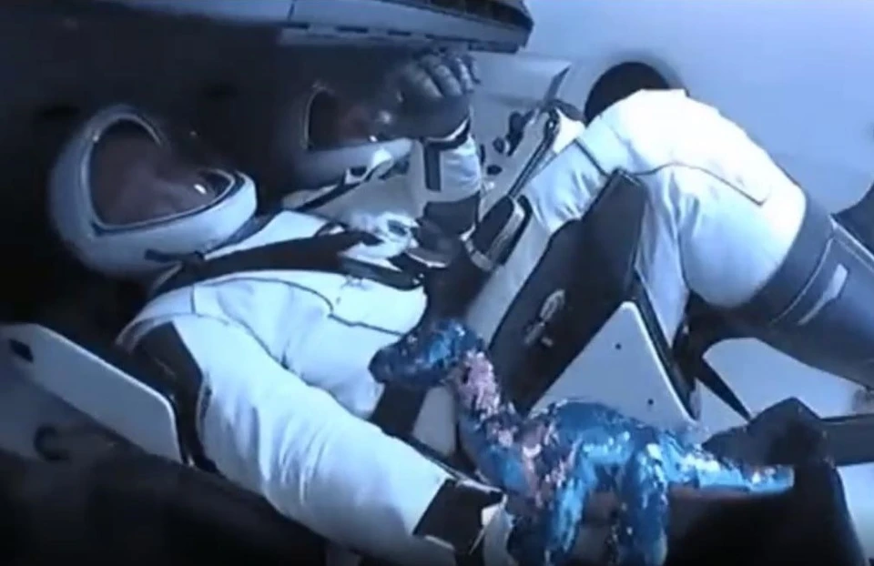 Астронавты взяли на борт корабля Crew Dragon игрушечного динозавра. Фото: кадр из видео НАСА