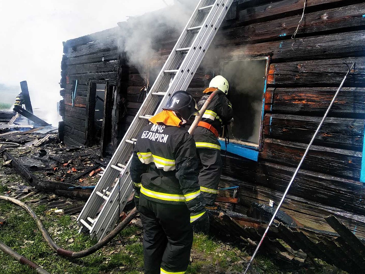 В Лельчицком районе лесник спас от пожара двоих детей - KP.RU