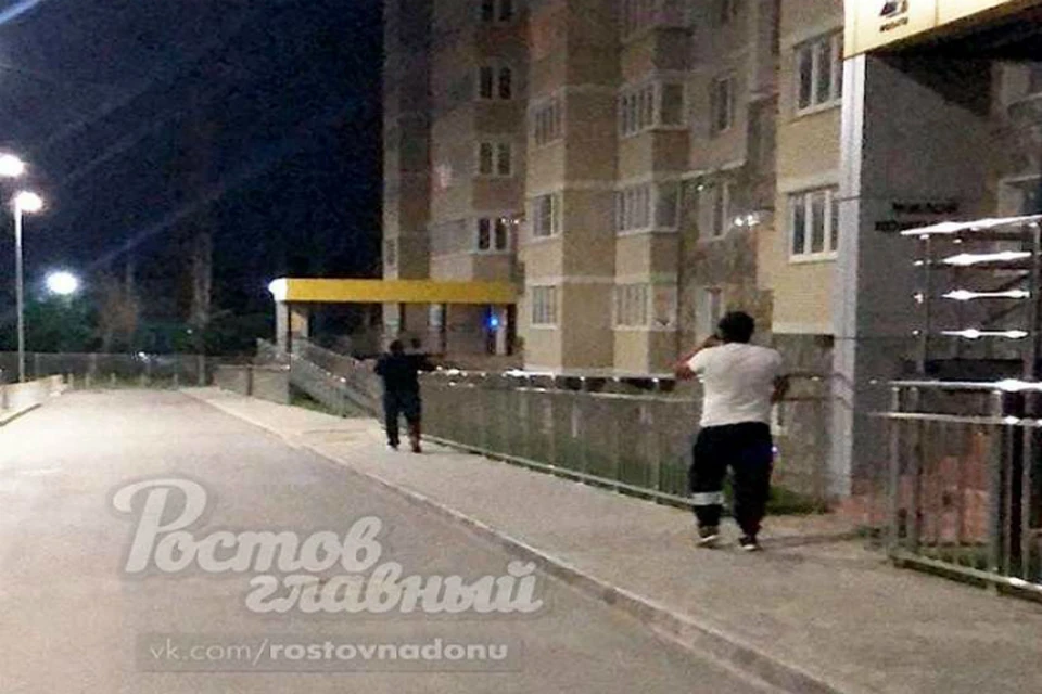 В Ростове дебошир убил котенка на глазах у детей