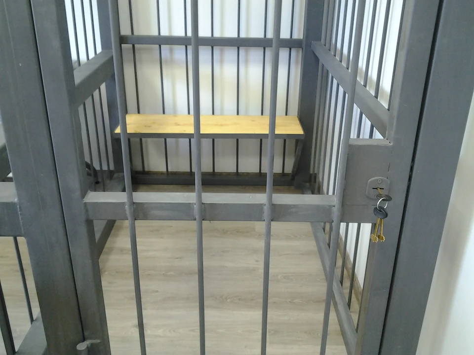 В ближайшее время подозреваемому будет предъявлено обвинение и избрана мера пресечения