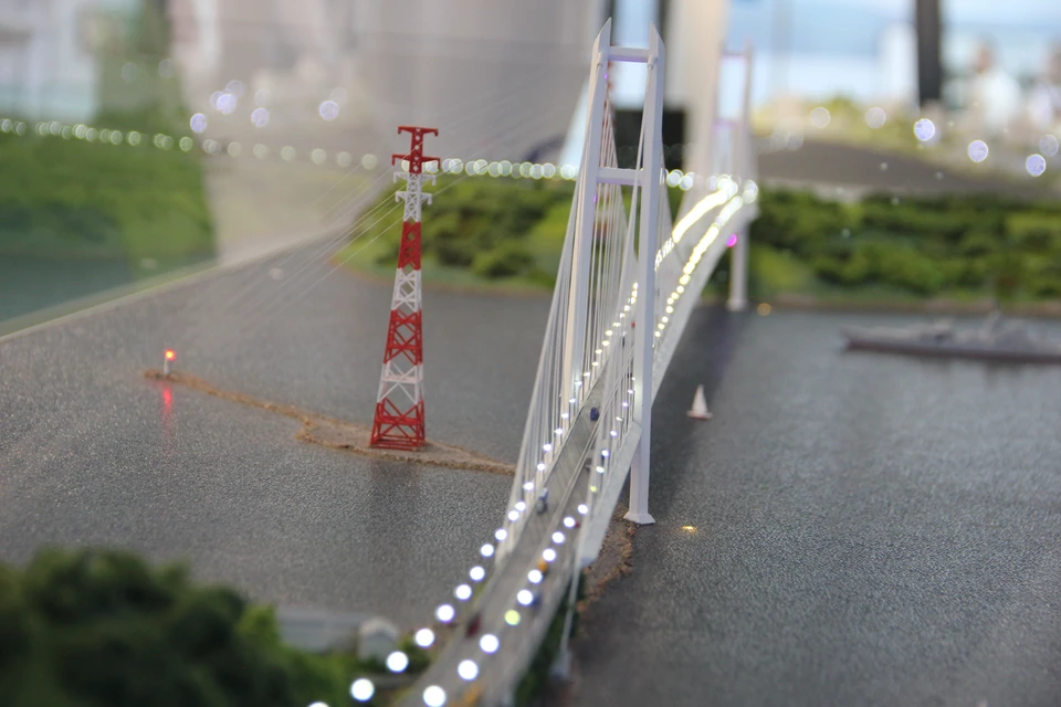 Концепт моста на остров Елены, представленный на V ВЭФ во Владивостоке