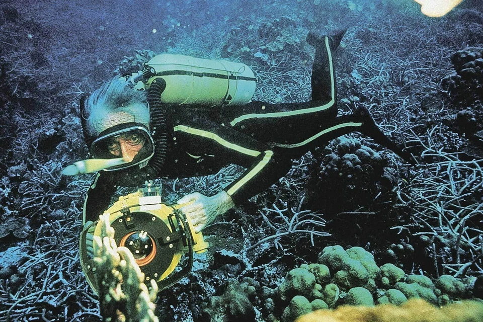 В 1943 году Кусто стал одним из изобретателей акваланга. С тех пор подводный мир заиграл новыми красками. Фото Turner Network Tv/Kobal/Shutterstock/REX